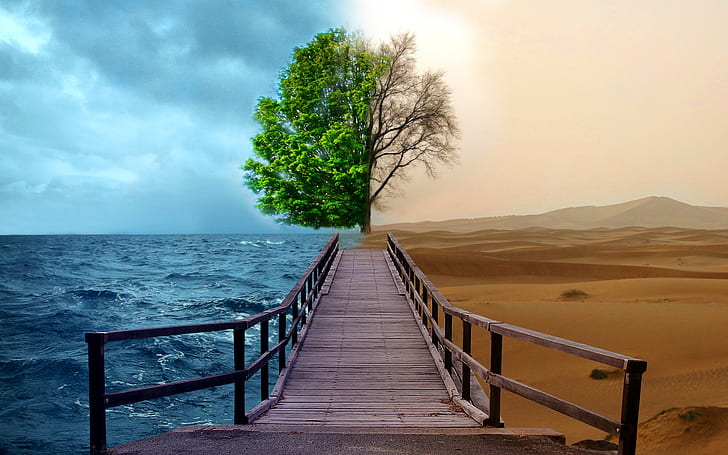 ocean trees desert bridges opposing force good vs evil opposite 1920x1200  Nature Oceans HD Art, HD wallpaper