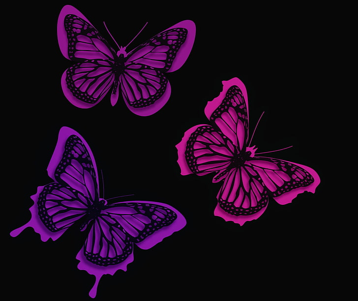 HD wallpaper: butterfly, black background, studio shot, indoors, purple, no  people | Wallpaper Flare