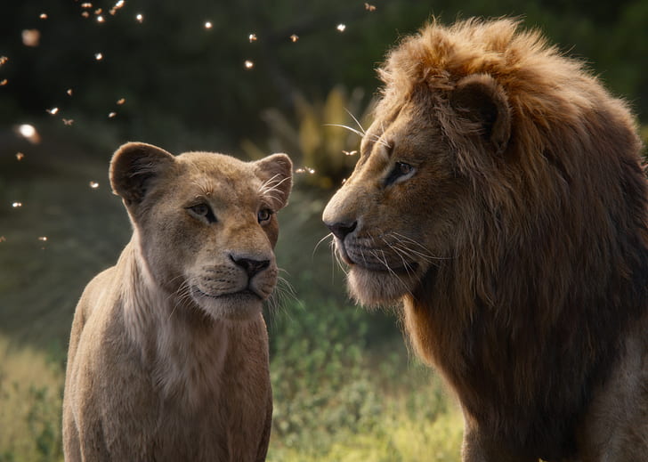Movie, The Lion King (2019), Nala (The Lion King), Simba, HD wallpaper