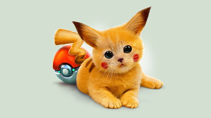 short-furred orange kitten, Pokémon, Pikachu, Pokéballs, pets, HD wallpaper