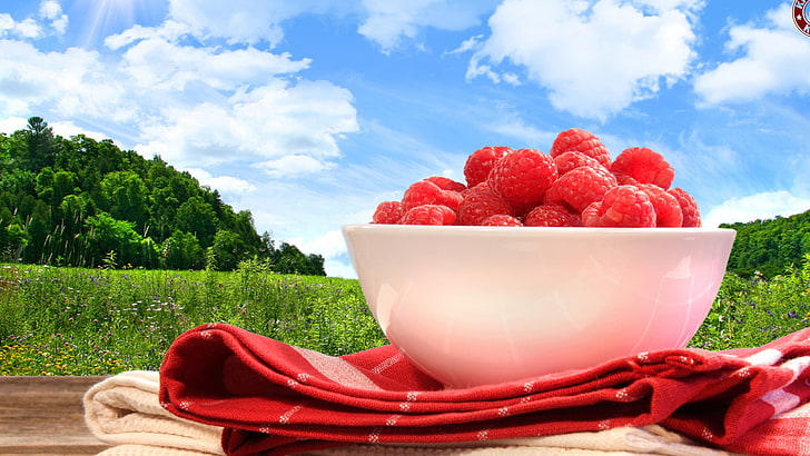 food, raspberries, fruit, macro, red, food and drink, healthy eating