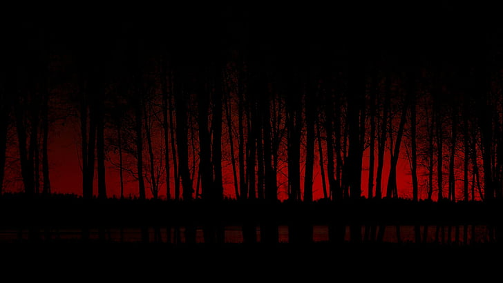 HD wallpaper: Dark, Forest | Wallpaper Flare