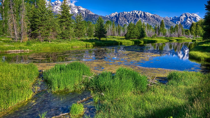 landscape, water, nature, mountains, trees, grass, plant, beauty in nature