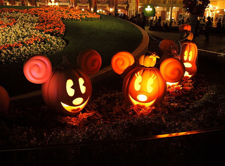 halloween, pumpkins, models, mickey mouse, flowerbed, light, lighted mickey mouse pumpkin decors