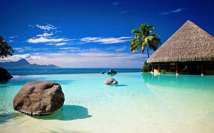 brown hut, beach, sea, rocks, blue, palm trees, tropical, sky, HD wallpaper