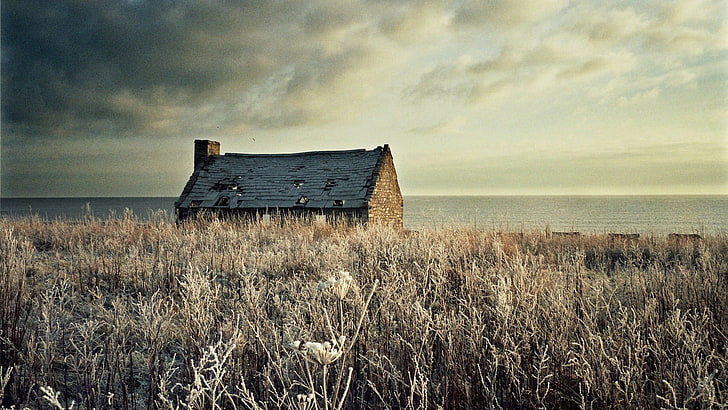 brown wooden shed, landscape, house, ruin, coast, field, frost, HD wallpaper