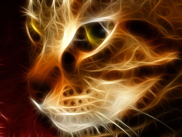 orange and white cat neon digital wallpaper, Cats, Fractal, Kitten
