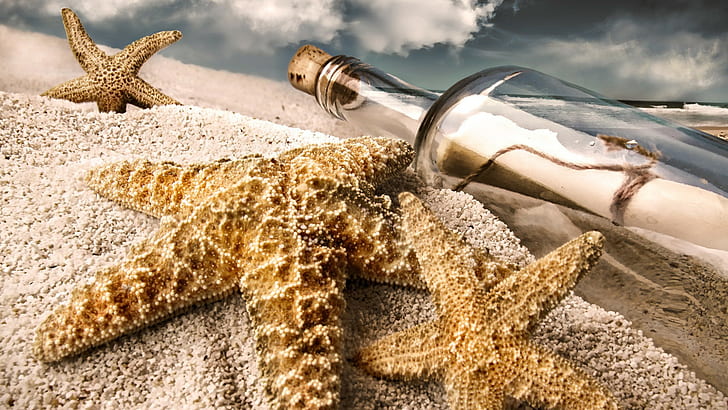 sand, bottles, starfish, beach