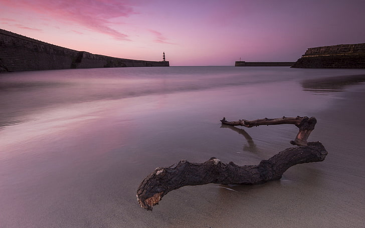 Purple beach sunset-2016 High Quality Wallpaper, water, sky, nature, HD wallpaper