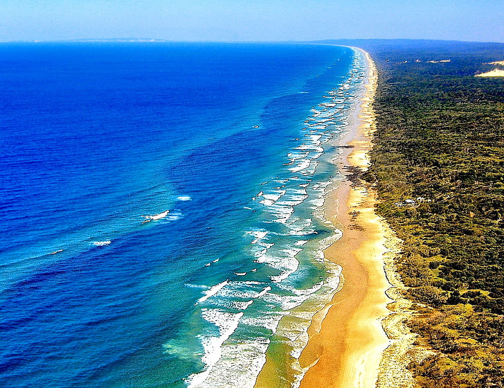 body of water, sand, sea, wave, shore, vegetation, Australia, HD wallpaper
