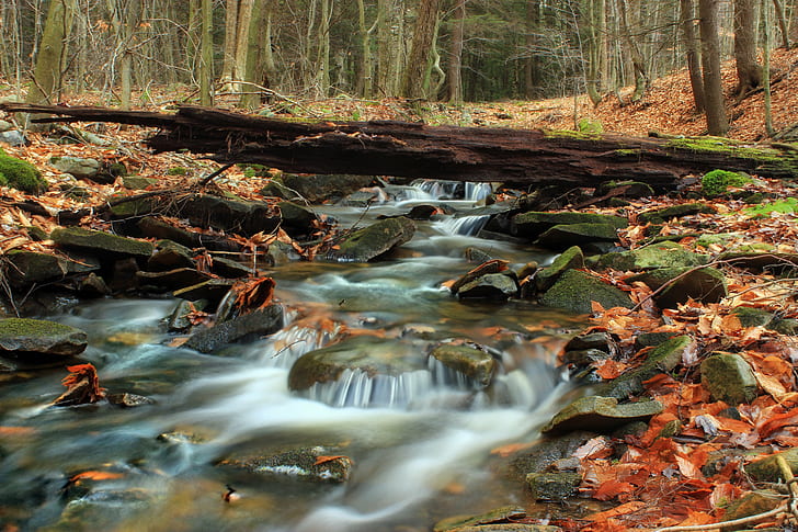 wood lug over river, Fern Rock, Nature Trail, Pennsylvania, Sullivan County, HD wallpaper