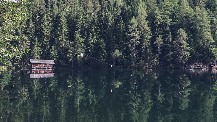 nature, water, trees, house, cabin, reflection