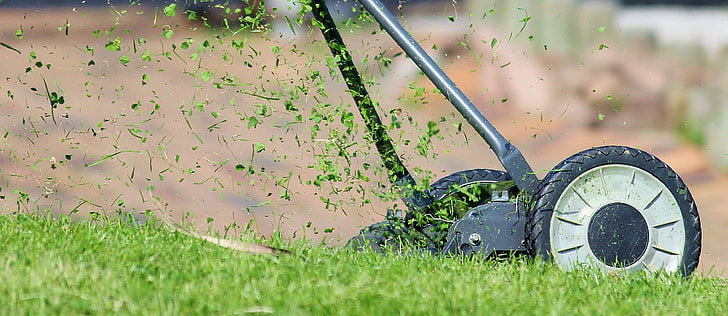 blade, blade of grass, cut, fly, grass box, green, halme, hand lawn mower