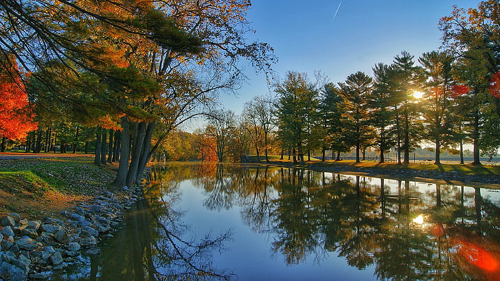 reflection, water, sunlight, nature, tree, autumn, sky, lakeside, HD wallpaper