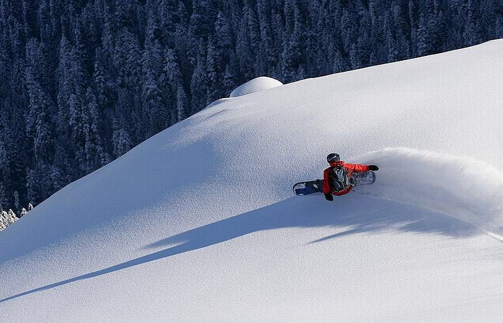 person on snow snowboarding near pine trees, landscape, sport, HD wallpaper