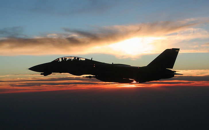 grumman f 14 tomcat, air vehicle, airplane, sunset, silhouette