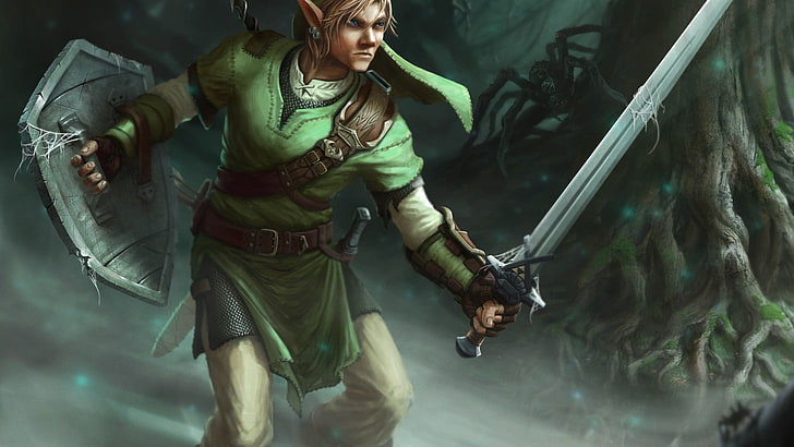 person holding long sword game character illustration, The Legend of Zelda