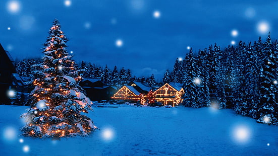 1920x1080 px Beautiful christmas gift holiday merry Santa snow tree winter Animals Bears HD Art HD wallpaper