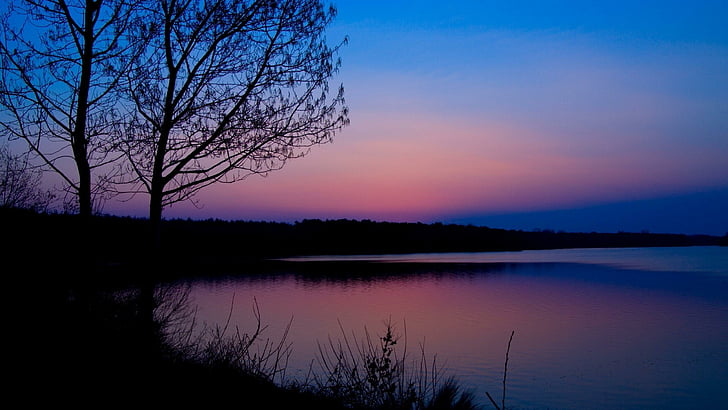 lakeside, evening, tree, sky, dunk, HD wallpaper