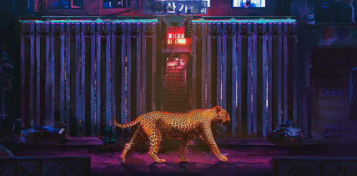 neon lights, animals, leopard, feline, big cats, walking, city, HD wallpaper