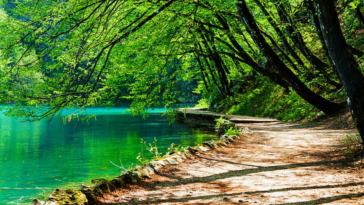 water, nature, emerald green, path, national park, tree, croatia, HD wallpaper