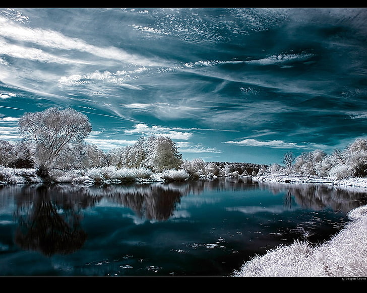 body of water beside white leaf trees digital wallpaper, landscape
