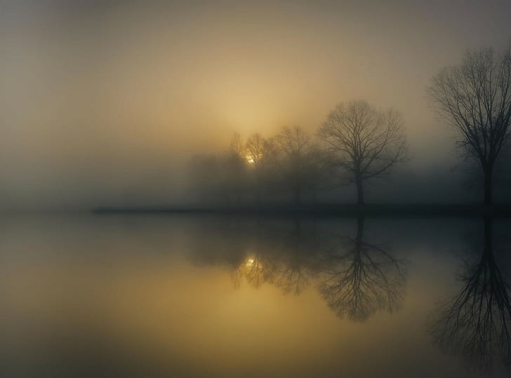 photography, nature, landscape, morning, mist, trees, reflection, HD wallpaper
