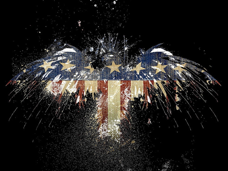 United States of America eagle illustration, flag, black, USA
