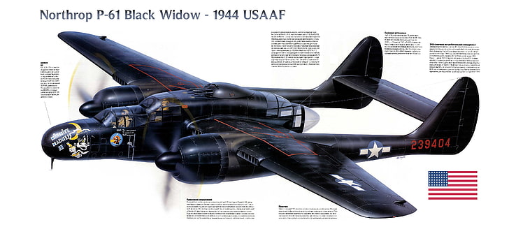 black and white Northrop P-61 Widow plane, fighter, war, night, HD wallpaper