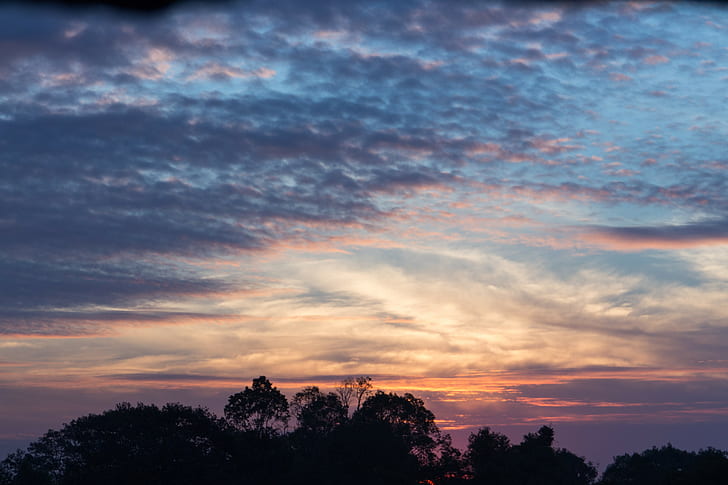 Cambodia, skyscape, silhouette, sunset, purple sky