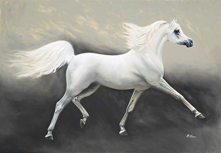 arab-horse-painting-white-horse-wallpaper-preview.jpg