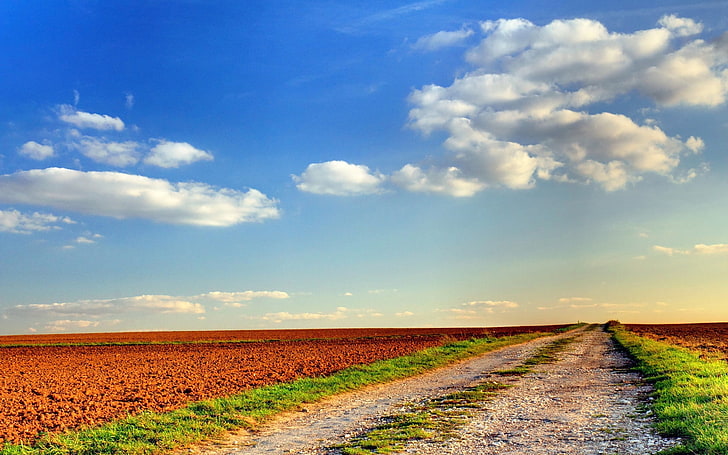 green grass field, road, country, spring, crops, sky, nature