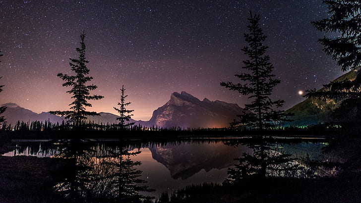 stars, Rocky Mountains, Banff National Park, plants, natural light