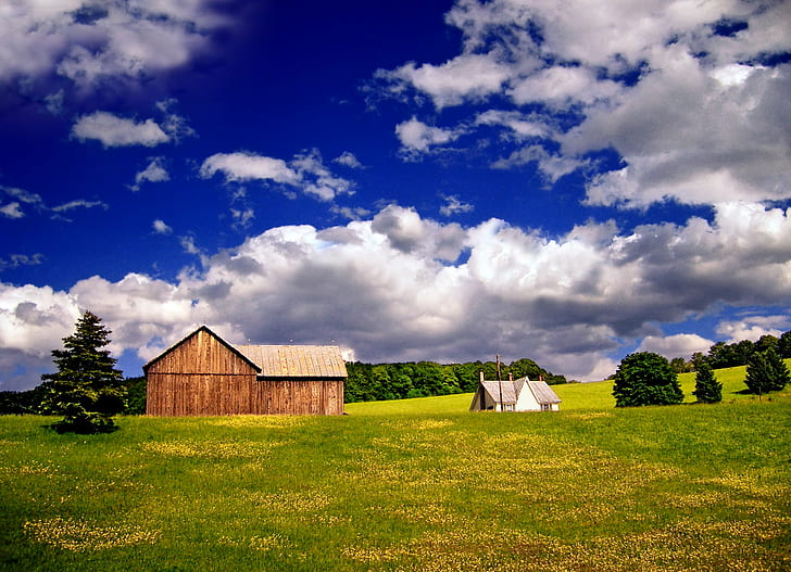 brown wooden barn on green grass field, Country View, Pennsylvania, HD wallpaper