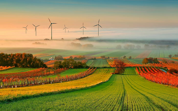 1920x1200, nature, tree, cloud, sky, Fog, windmill, HD wallpaper