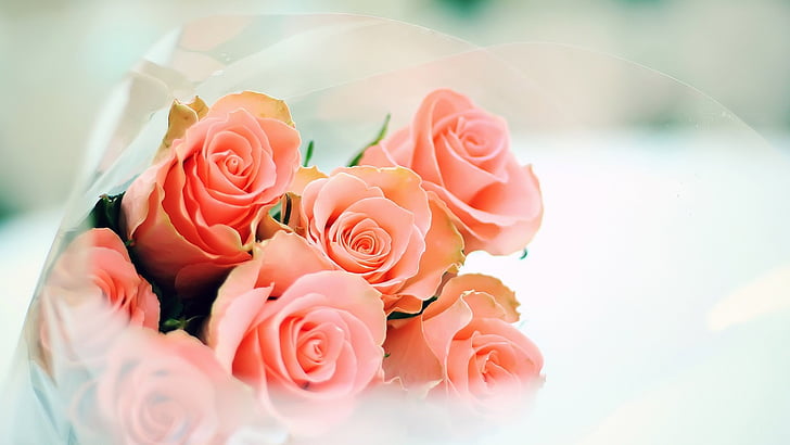 bouquet, rose, flower, flowers, petal, pink, blossom, floral, HD wallpaper