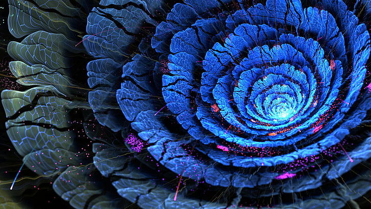 purple flower wallpaper, close up photography of blue petaled flower, HD wallpaper