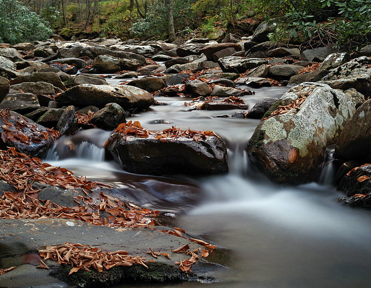 timelapse photography of water falls, Little Pigeon River, Cascade