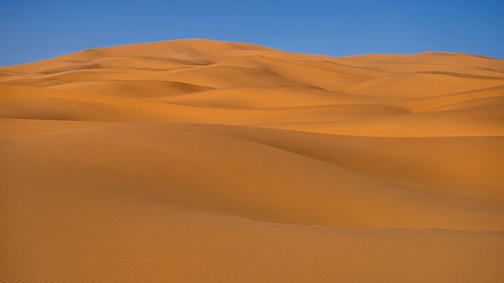 sand, desert, sand dune, scenics - nature, landscape, environment