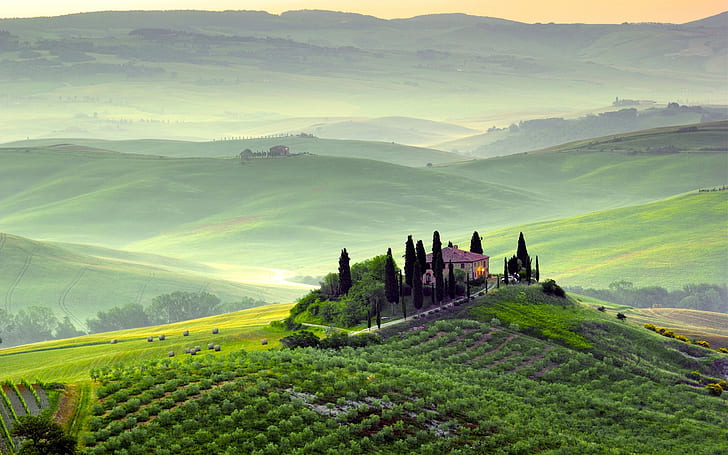 HD wallpaper: Pienza, Tuscany, Italy, spring scenery, fields, trees,  morning, fog, green | Wallpaper Flare