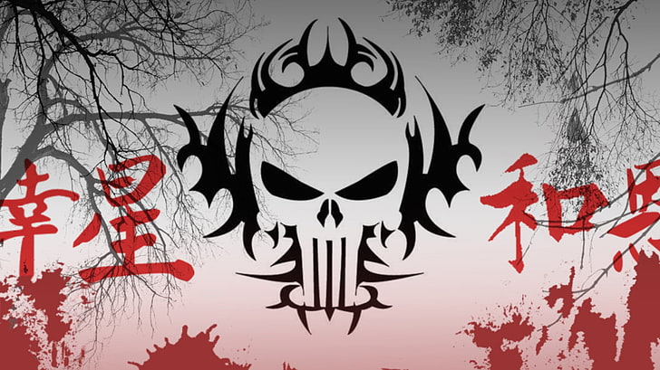 Punisher Skull Wallpaper  Download to your mobile from PHONEKY