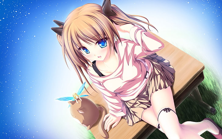 brown haired anime girl illustration, cat, elf, shine, women, HD wallpaper