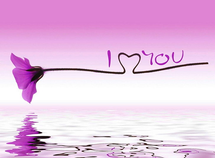 HD wallpaper: Water Reflection I Love You, purple flower wallpaper, heart,  pink color | Wallpaper Flare