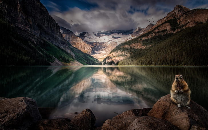 Lake Louise, Alberta, Canada, rodent, mountains, trees, clouds, dusk
