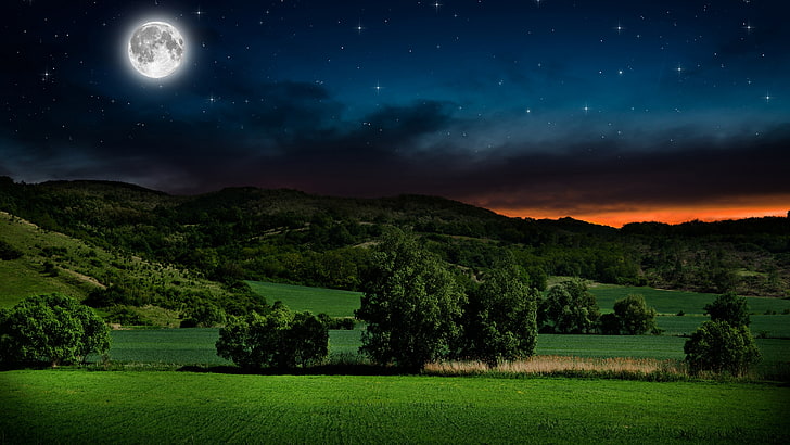 sky, nature, full moon, grassland, night, meadow, landscape
