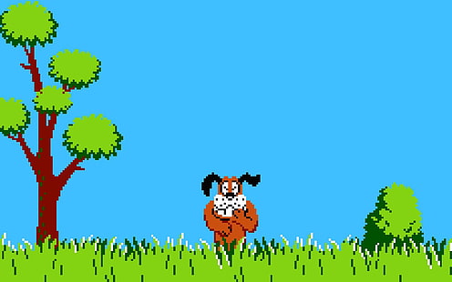HD wallpaper: Video Game, Donald Duck Hunting | Wallpaper Flare