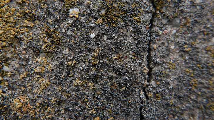 concrete, moss, split, texture, HD wallpaper