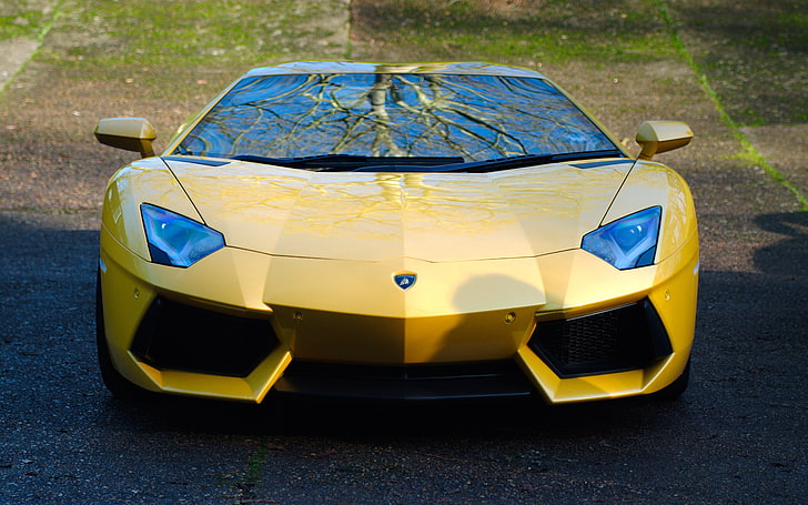 yellow Lamborghini Aventador coupe, lp700-4, car, front view, HD wallpaper