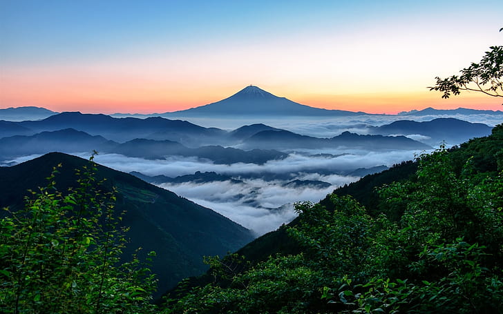 Fujiyama, Japan, mountain, fog, clouds, trees, morning, HD wallpaper
