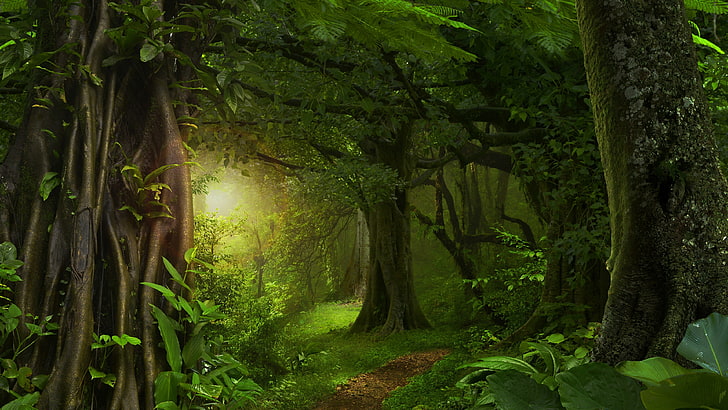 Green Forest Wallpapers  Wallpaper Cave